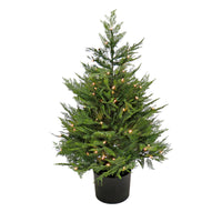 3 ft. Pre-Lit Cypress Tree in Nursery Pot - National Tree Company