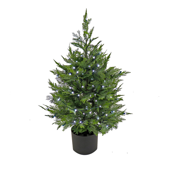 3 ft. Cypress Tree with Multi-Function LED Lights