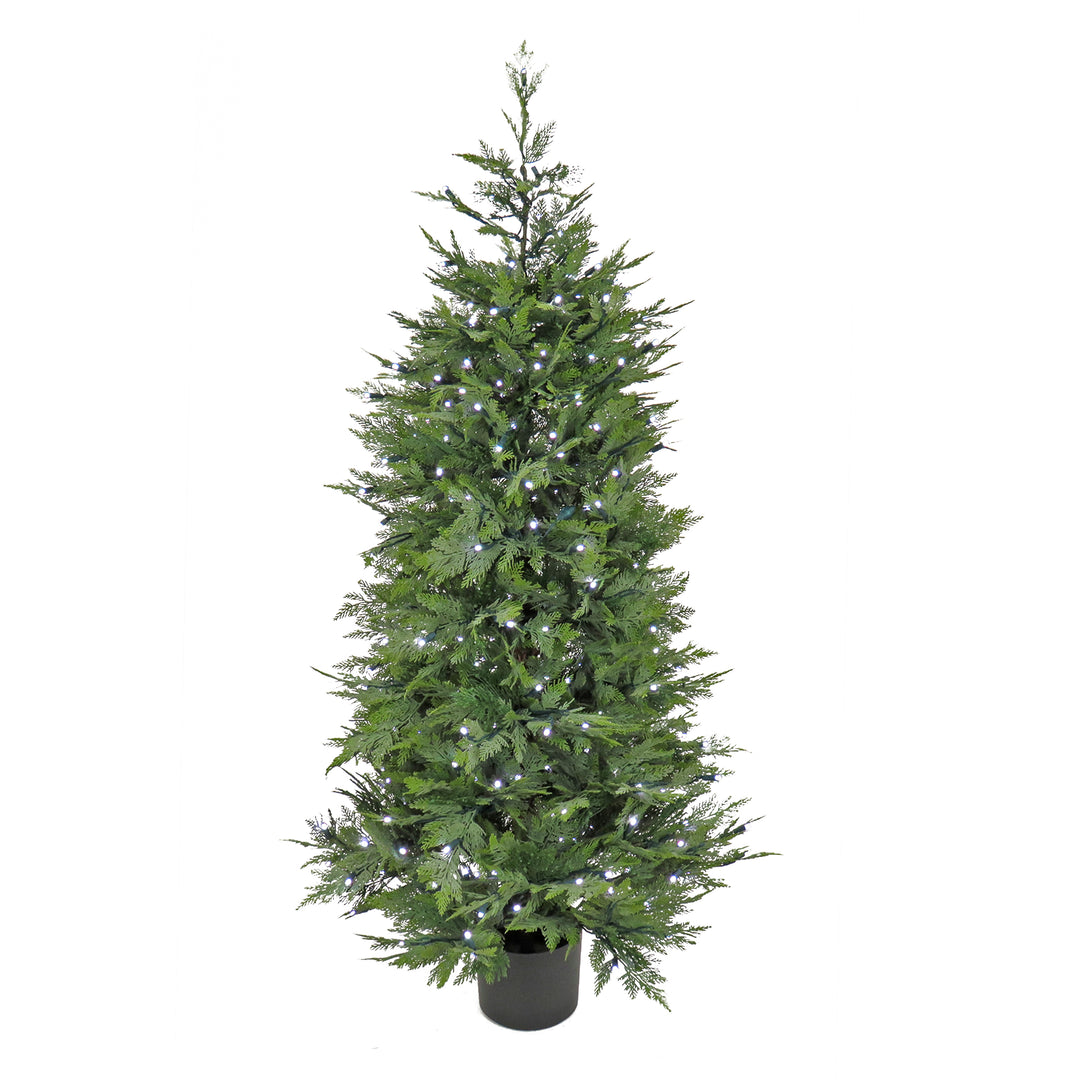 5 ft. Cypress Tree with Multi-Function LED Lights