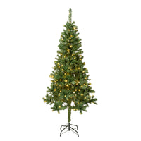 6 ft. Pre-Lit Linden Spruce Tree with Warm White LED Lights - National Tree Company