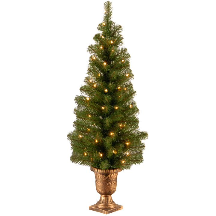 Pre-Lit Artificial Christmas Entrance Tree, Montclair Spruce with Clear Lights, Plug in, 4 ft
