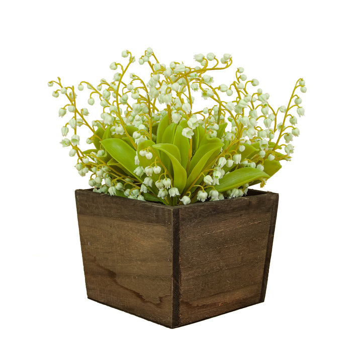 10" Green Lily-of-the-Valley Flowers in Wood Box