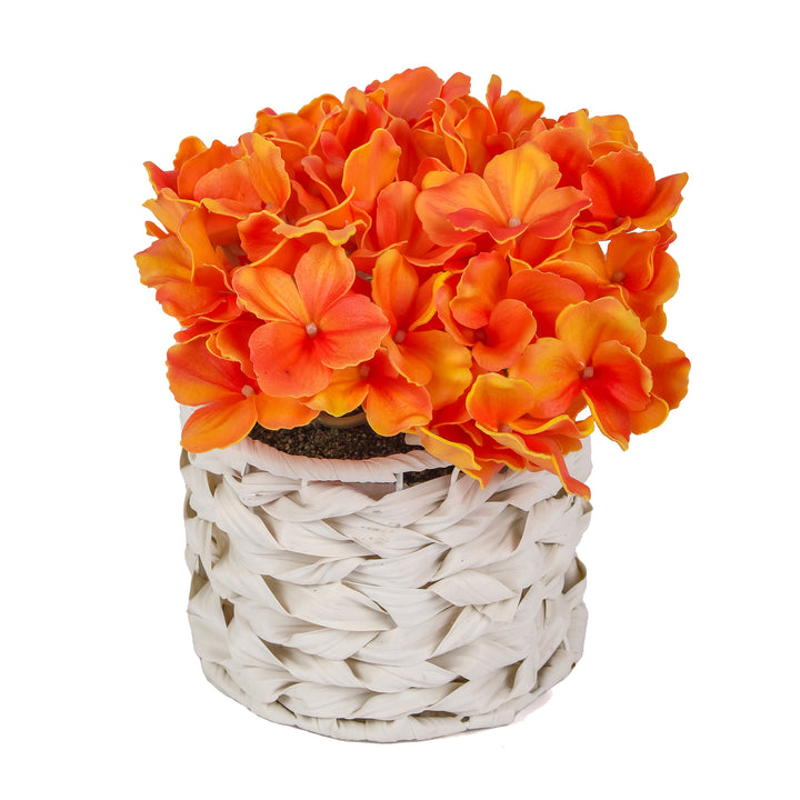 10" Orange Hydrangea Bouquet in White Basket