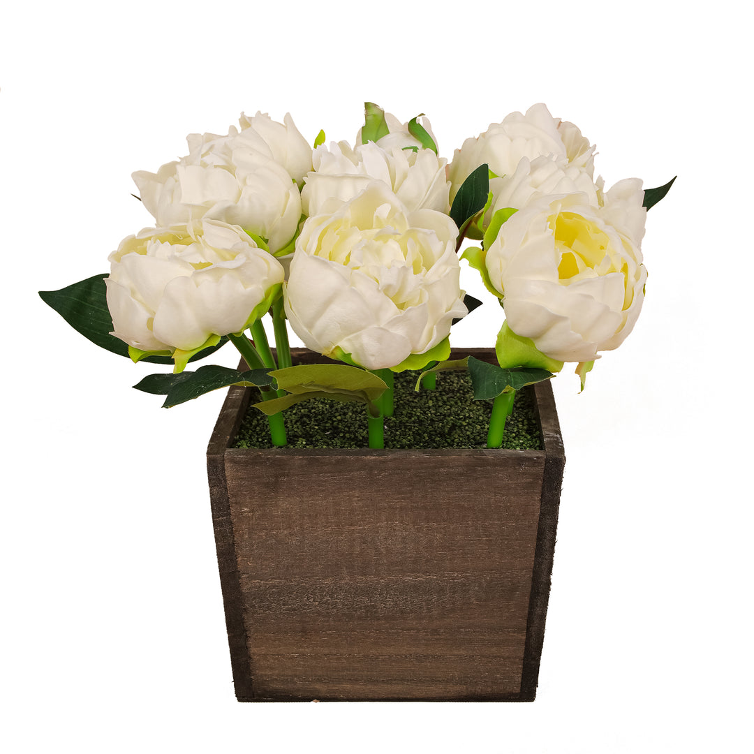 10" White Peony Flowers in Wood Box