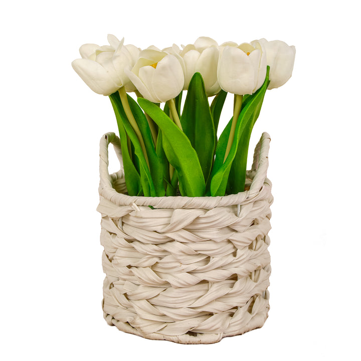 10" White Tulip Bouquet in White Basket