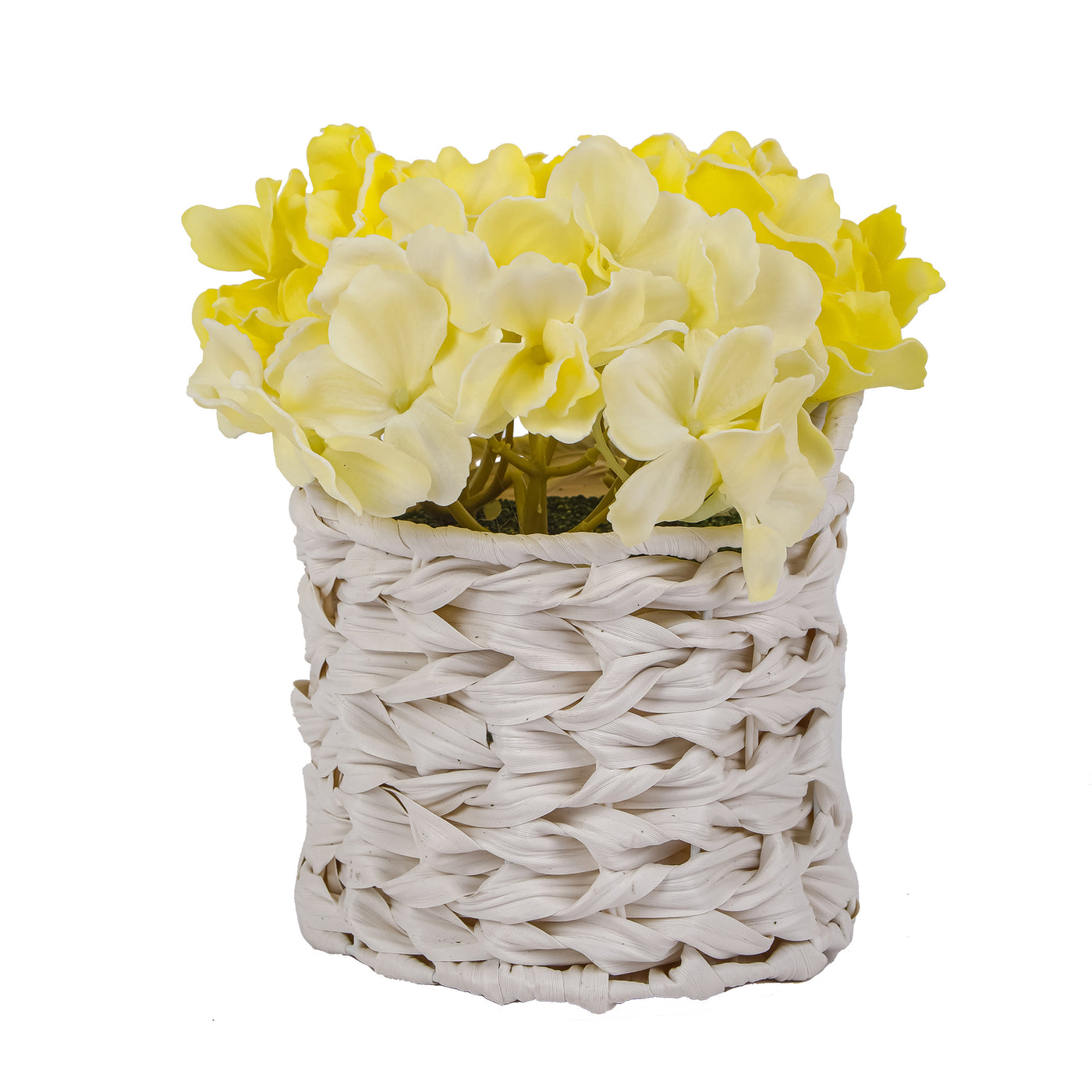 10 in. Spring Light Yellow Hydrangea Bouquet in White Basket - National Tree Company