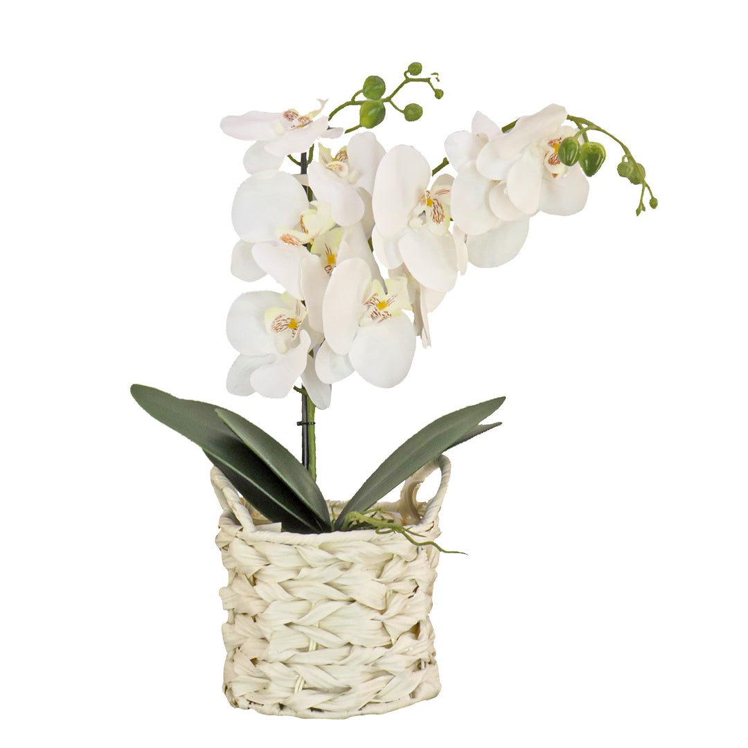 21" White Orchid Flower in White Basket