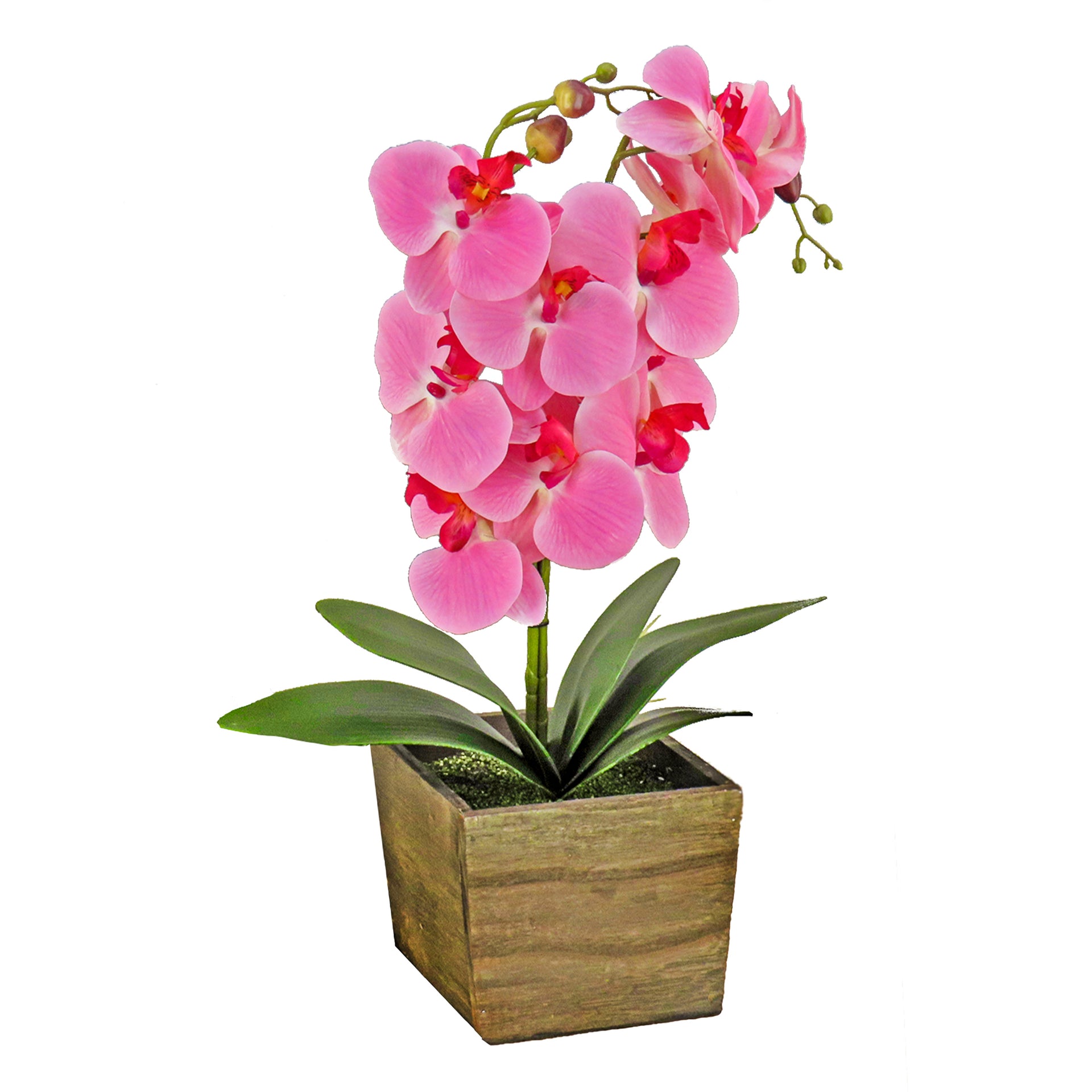 plastic orchid plants 21 in. Spring Pink Orchid Flower in Wood Box · National Tree Company