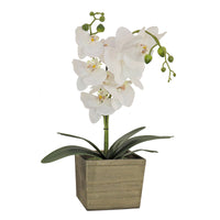 21" White Orchid Flower in Wood Box - National Tree Company