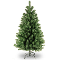 4 ft. North Valley Spruce Tree - National Tree Company