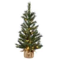 3 ft. Pre-Lit Frosted Ontario Pine Tree with White LED Lights - National Tree Company