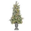 4 ft. Pre-Lit Frosted Colonial Fir Tree with Warm White LED Lights, Plug-In - National Tree Company