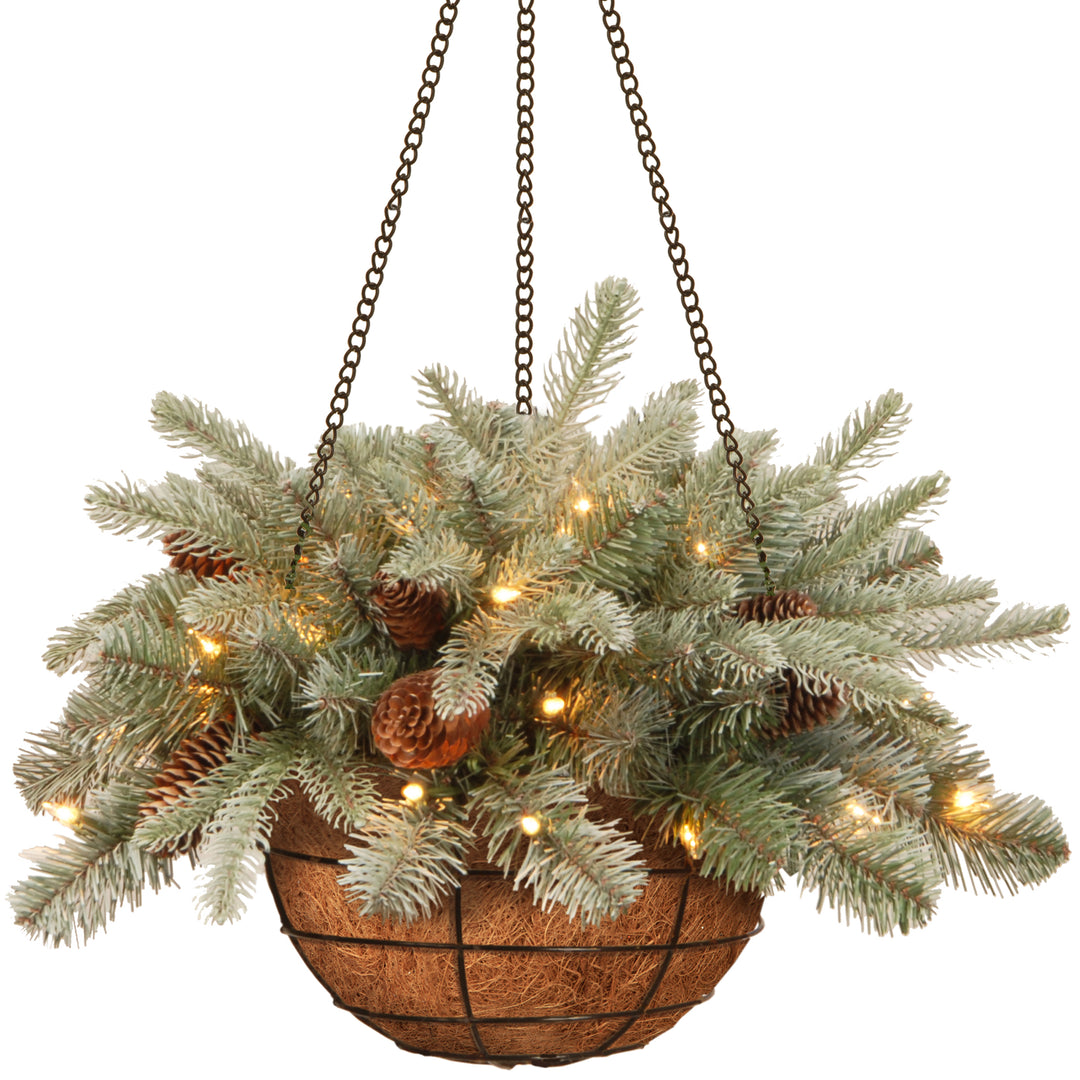 National Tree Company Pre-Lit 'Feel Real' Artificial Christmas Hanging Basket, Arctic Spruce, Decorated With Frosted Pine Cones, White Lights, Christmas Collection, 20 Inches