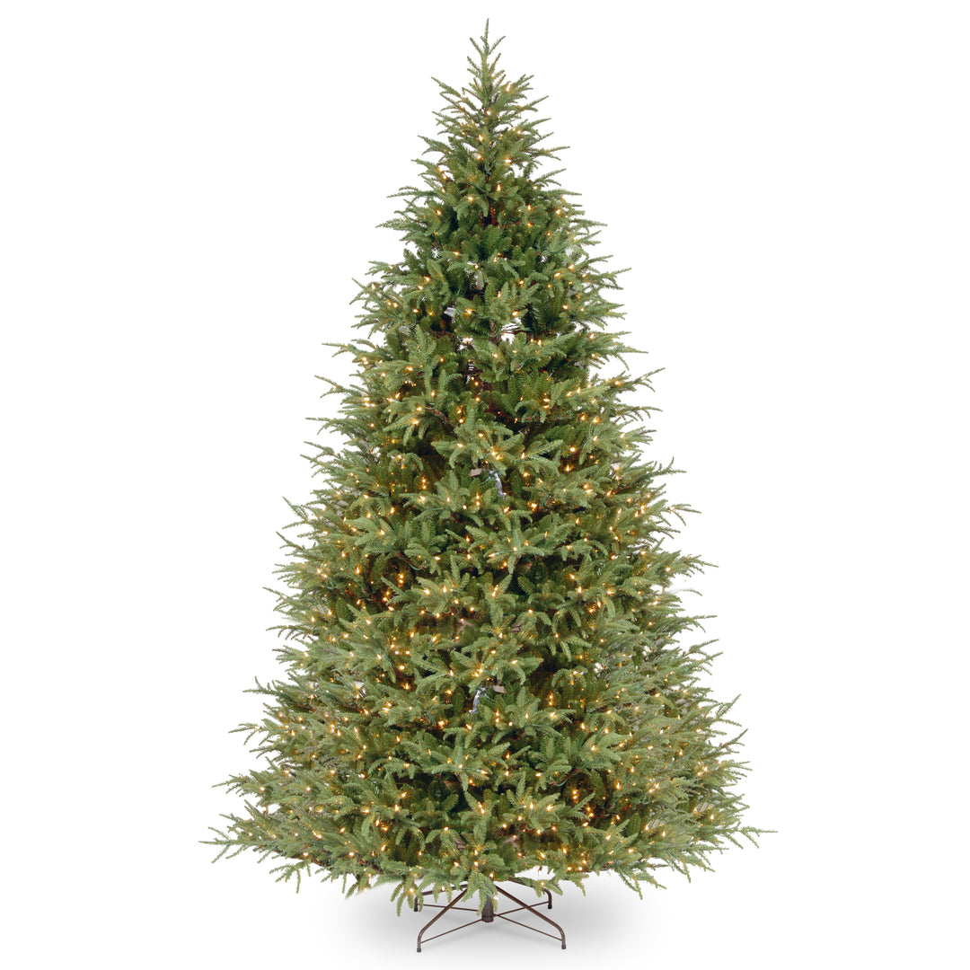 Pre-Lit 'Feel Real' Artificial Grande Christmas Tree, Green, Frasier Grande, White Lights, Includes Stand, 9 Feet