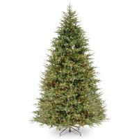 9 ft. Pre-Lit Frasier Grande Tree with Clear Lights - National Tree Company