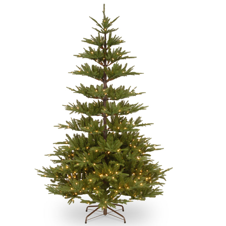 Pre-Lit 'Feel Real' Artificial Christmas Tree, Glenwood Fir, Green, White Lights, Includes Stand, 7.5 Feet