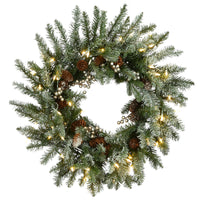 24 in. Pre-Lit Snowy Morgan Spruce Wreath with LED Lights - National Tree Company