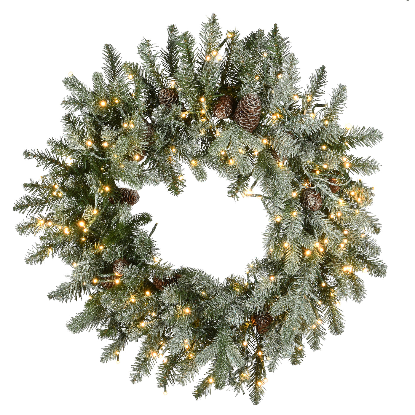 24 in. Pre-Lit Snowy Morgan Spruce Wreath with Dual Color LED Lights - National Tree Company