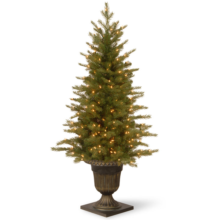 Pre-Lit 'Feel Real' Artificial Mini Entrance Christmas Tree, Green, Nordic Spruce, White Lights, Includes Decorative Urn Base, 4 Feet