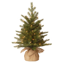 2 ft. Pre-Lit Nordic Spruce Tree with Clear Lights - National Tree Company