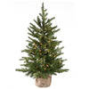 3 ft. Pre-Lit Nordic Spruce Tree with Clear Lights, Plug-In - National Tree Company