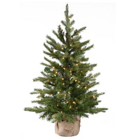 3 ft. Pre-Lit Nordic Spruce Tree with Clear Lights - National Tree Company