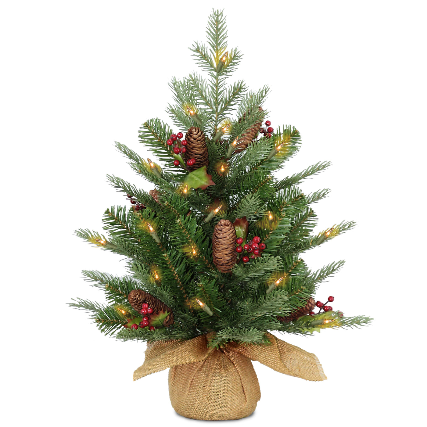 2 ft. Pre-Lit Nordic Spruce Tree with  LED Lights - National Tree Company