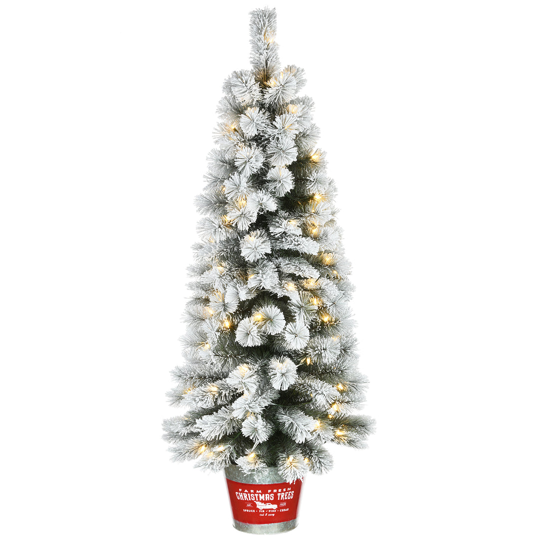 Pre-Lit Artificial Christmas Entrance Tree, Snowy Pogue Pine, with Warm White LED Lights, Plug in, 5 ft