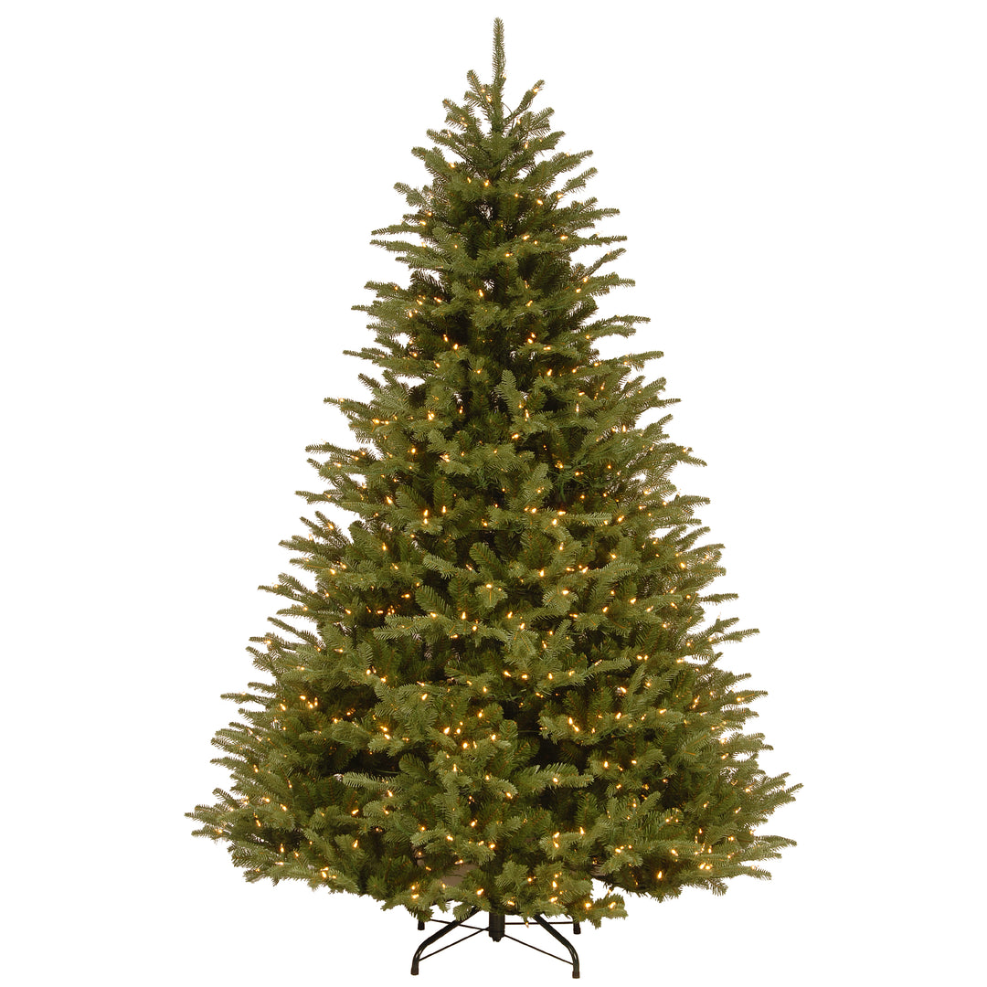7.5 ft PowerConnect(TM) Ridgedale Fir with Warm White LED Lights