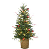 4 ft. Pre-Lit Scotch Creek Fir Tree with LED Lights, Plug-In - National Tree Company