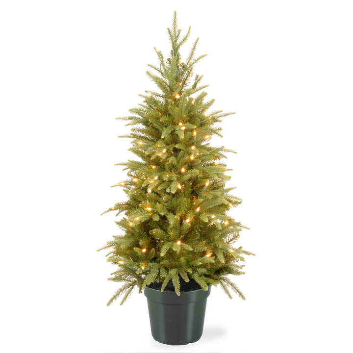 4 ft Weeping Spruce Tree with Clear Lights