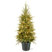 4 ft. Pre-Lit Weeping Spruce Tree with Clear Lights - National Tree Company