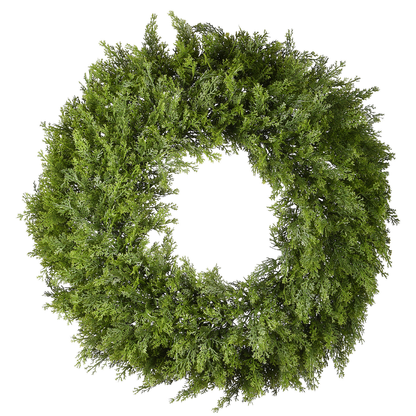 24 in. Arborvitae Wreath - National Tree Company