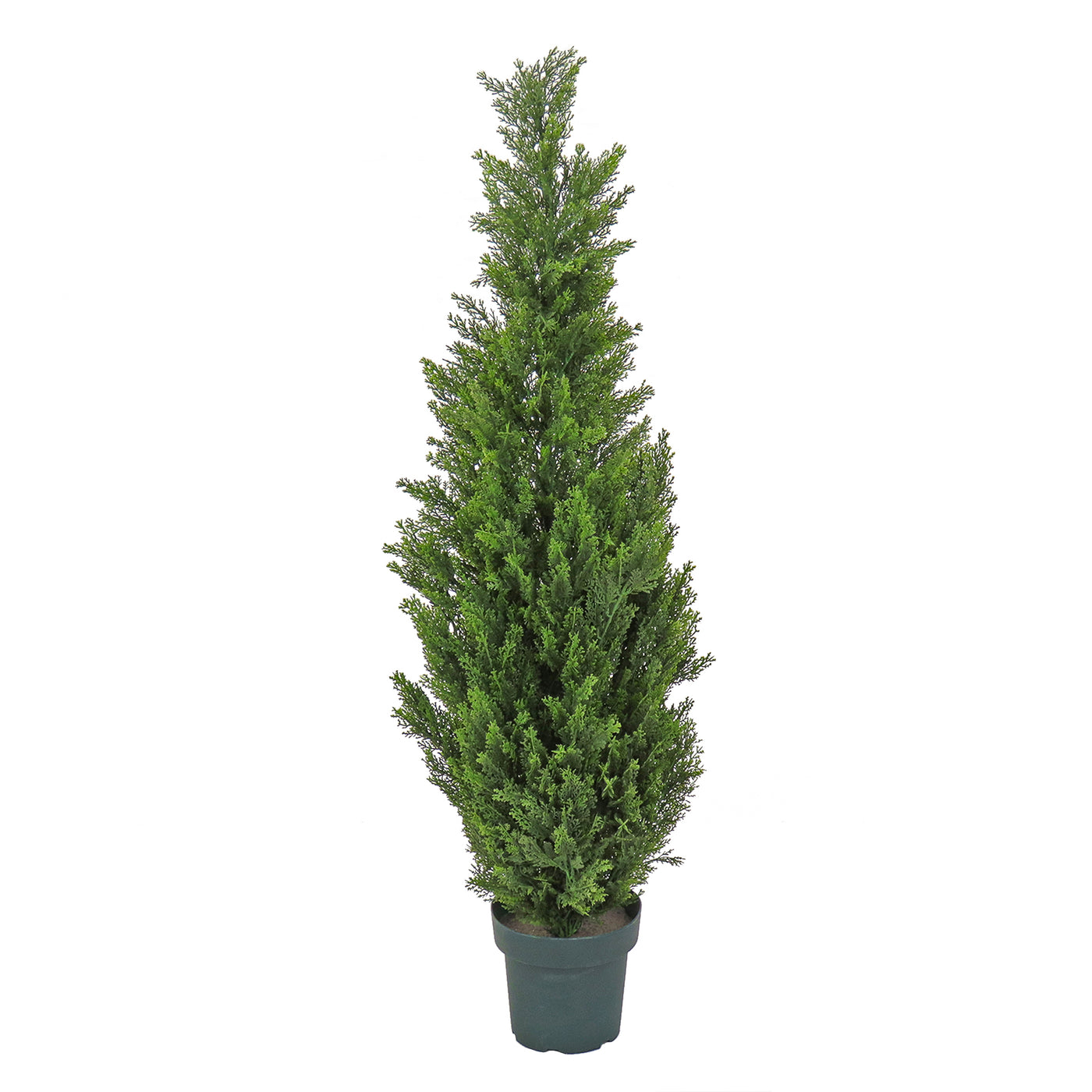 50 in. Cedar Topiary Tree in Dark Green Round Growers Pot - National Tree Company