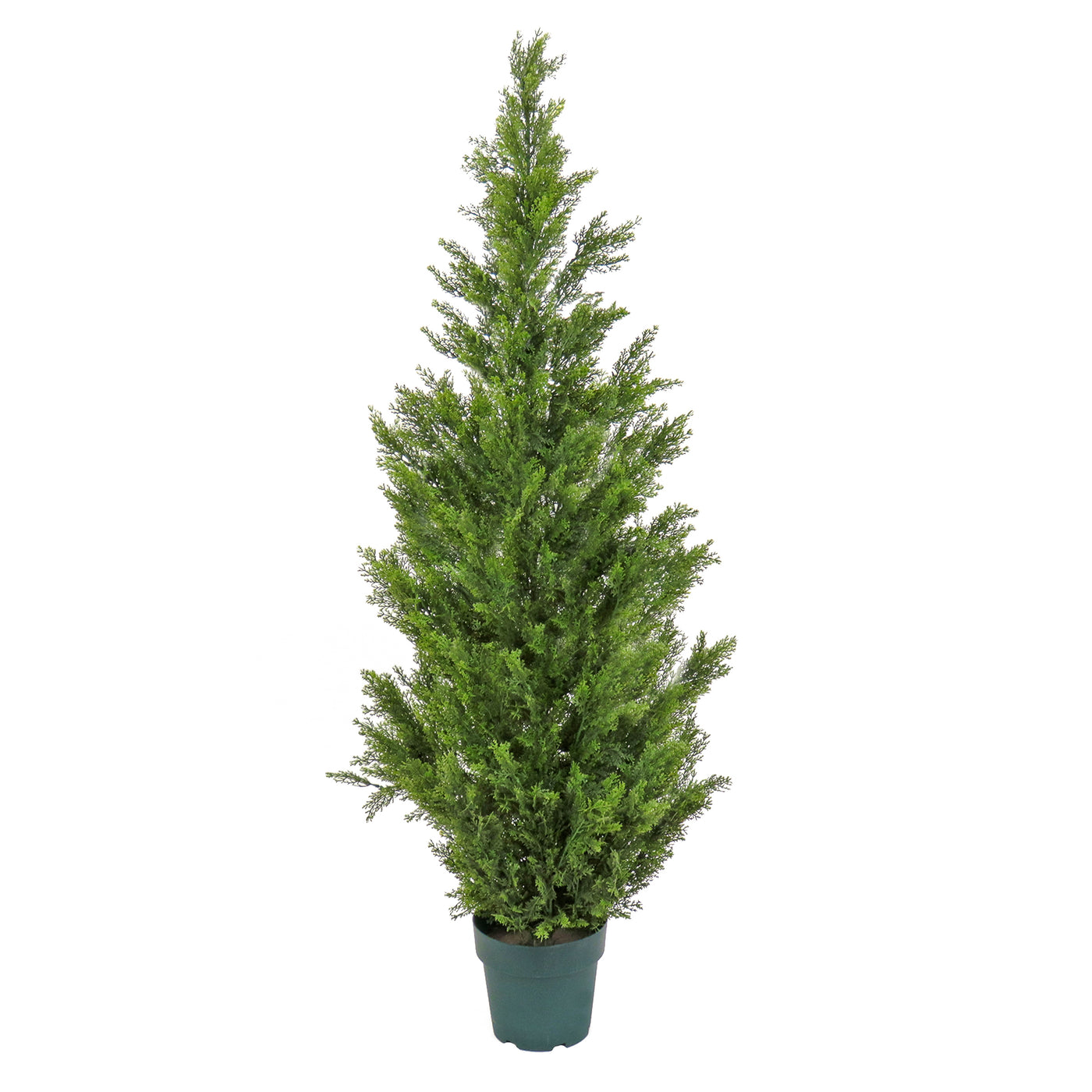 62" Cedar Tree - National Tree Company