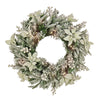 26 in. Pre-Lit Frosted Colonial Wreath with LED Lights - National Tree Company