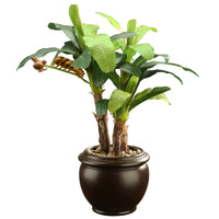 18 in. Banana Plant - National Tree Company