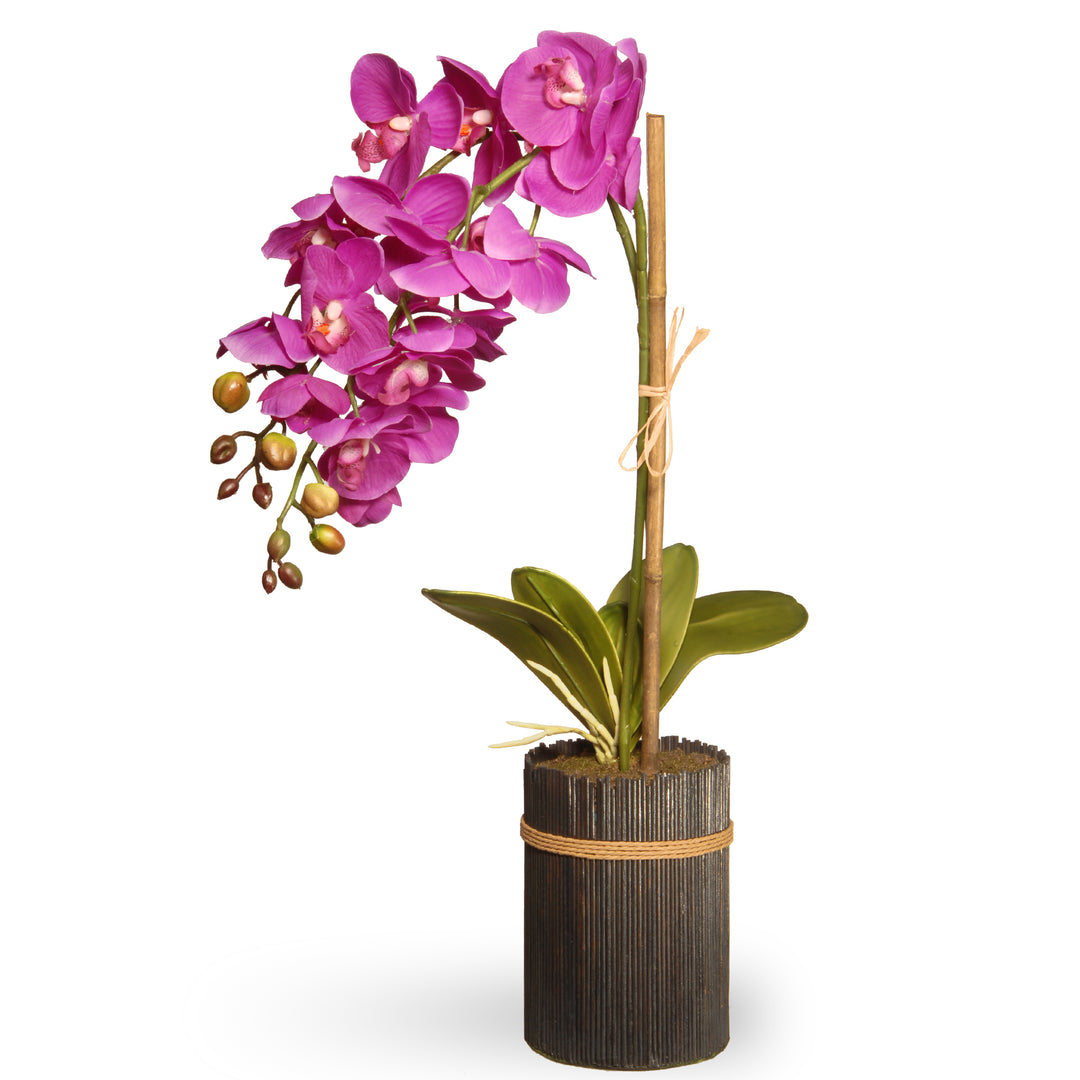 23" Potted Purple Orchid