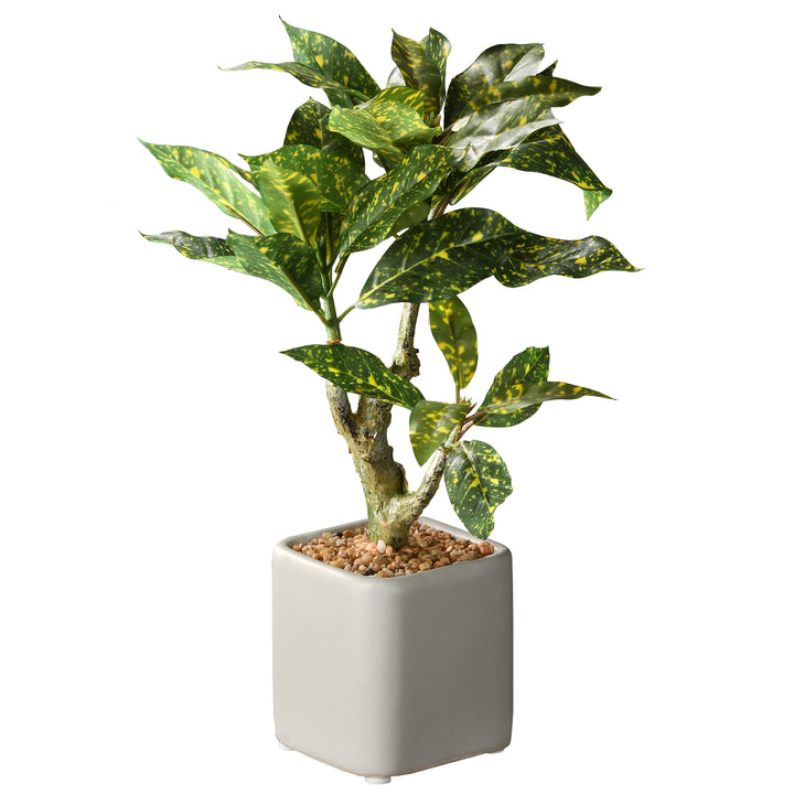 Artificial Potted Plant, Croton Tree, Simulated Soil, Includes Stylish Ceramic Pot Base, Spring Collection, 11 Inches
