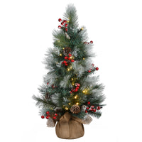 3 ft. Pre-Lit Snowy Glacier Pine Tree with LED Lights - National Tree Company