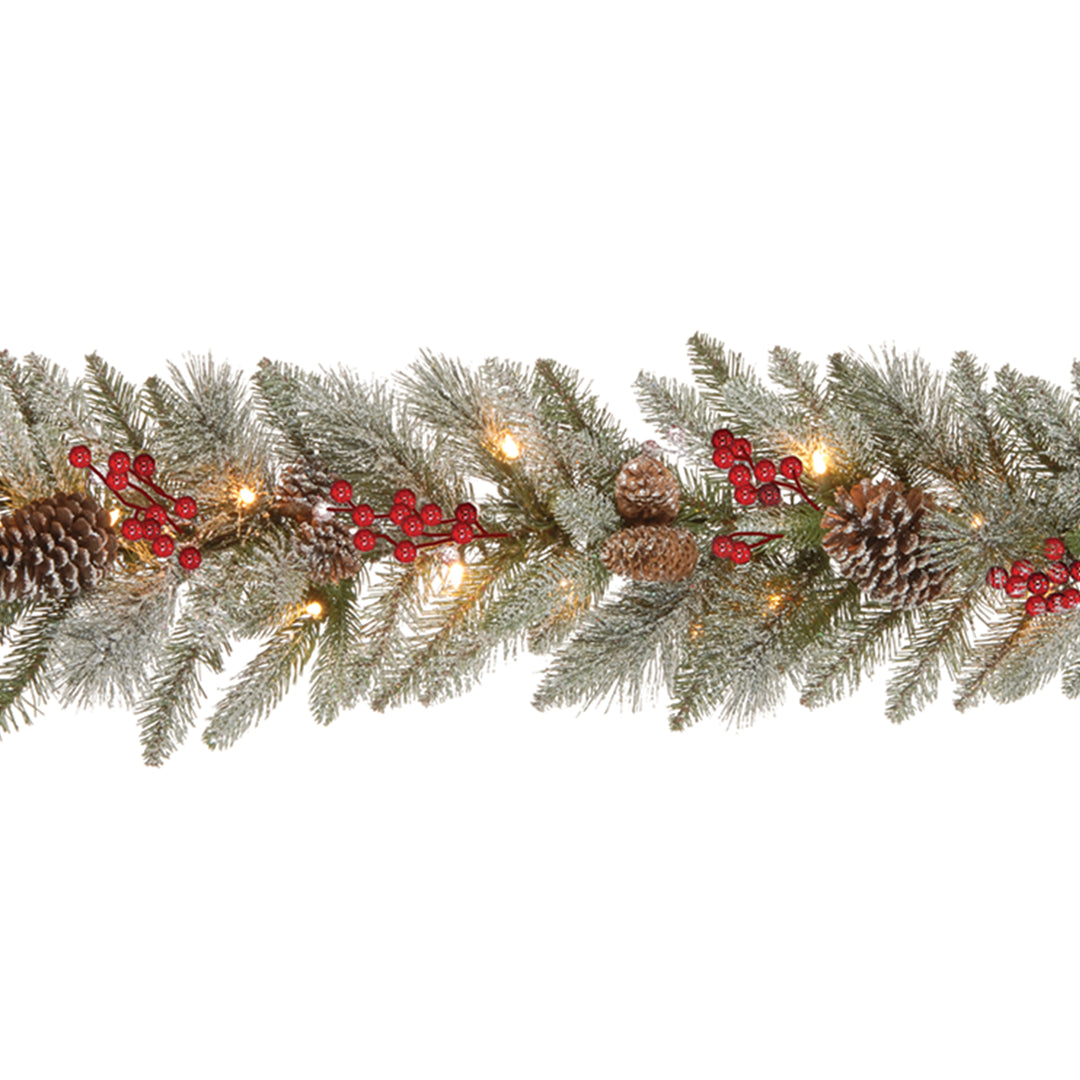 National Tree Company Pre-Lit Artificial Christmas Garland, Green, Snowy Bristle Berry, White Lights, Decorated With Pine Cones, Berry Clusters, Plug In, Christmas Collection, 9 Feet