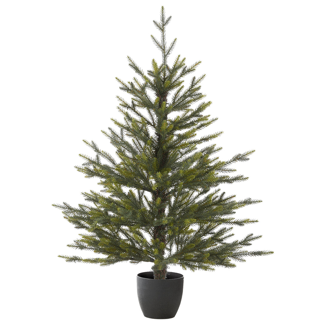 Woodward Pine Christmas Tree, Black Pot Base, 3 ft