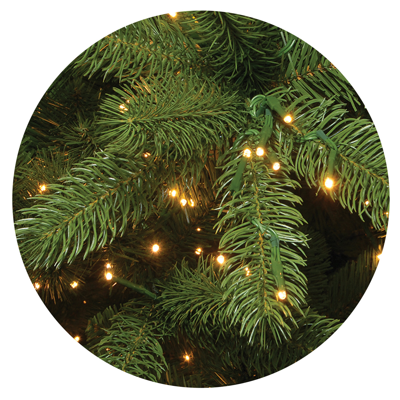 7.5 ft. Pre-Lit Downswept Douglas Fir Tree with Dual Color LED Cosmic Lights - National Tree Company