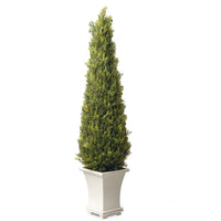42 in. Juniper Topiary Entrance Tree in a Stylish Wooden White Base - National Tree Company