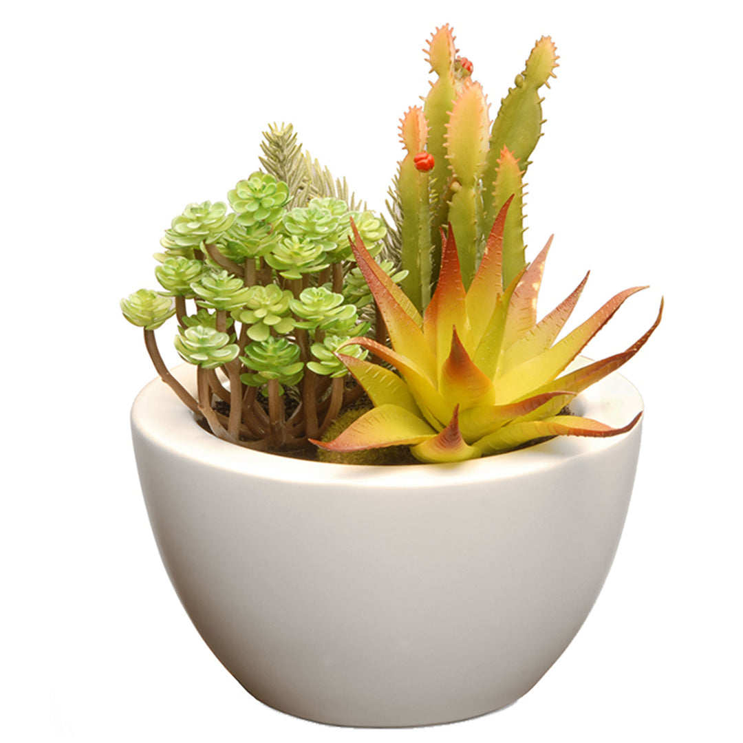 Artificial Potted Plant, Decorated with Various Green Succulents, Includes Stylish White Ceramic Base, Spring Collection, 8 Inches