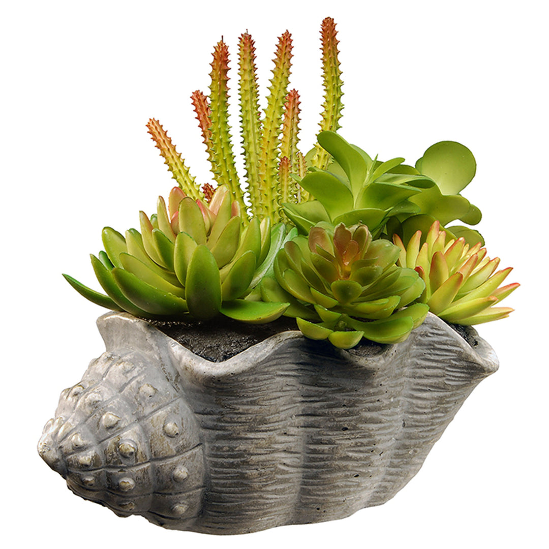 Artificial Potted Plant, Decorated with Various Green and Orange Succulents, Includes Stylish Conch Shell Cement Pot Base, Spring Collection, 11 Inches