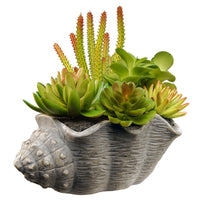 11 in. Spring Potted Plant with Various Green and Orange Succulents in a Stylish Conch Shell Cement Pot - National Tree Company