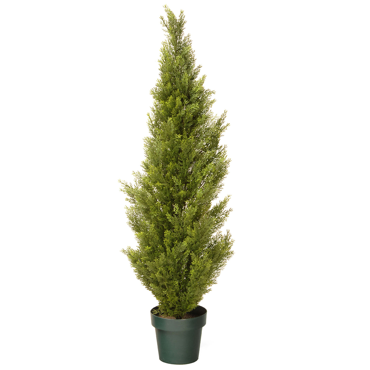 48 in. Arborvitae Topiary Tree in Dark Green Round Growers Pot - National Tree Company