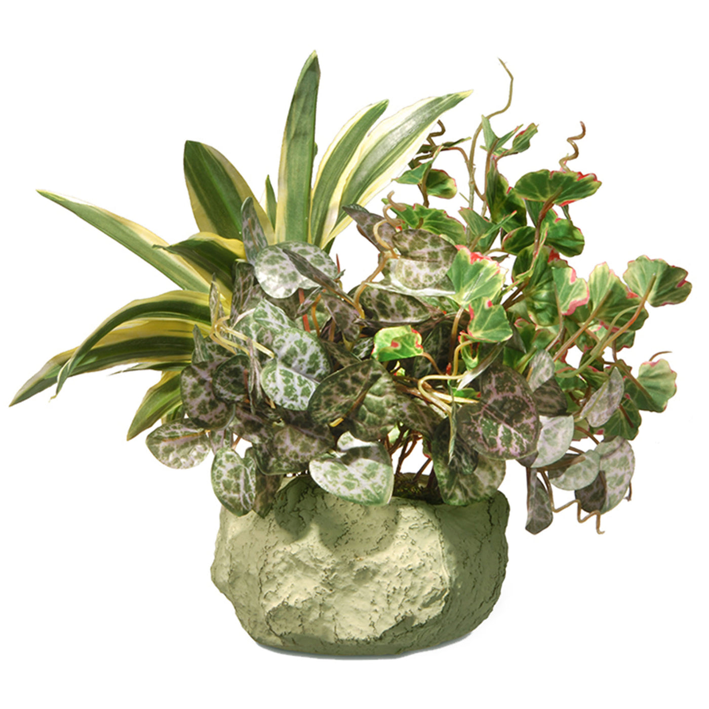 9 in. Spring Ivy and Snake Plant in a Rock Ceramic Pot - National Tree Company