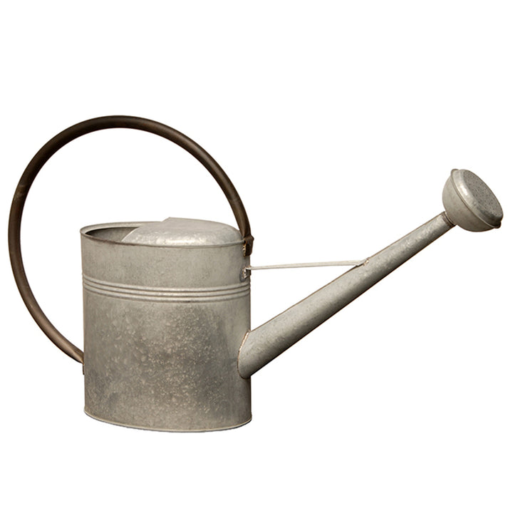 Watering Can, Metal, Zinc, Spring Collection, 18 Inches